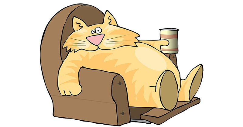 Як позбутися пивного живота: шлях до плоского живота без радикальних дієт і жорстких обмежень